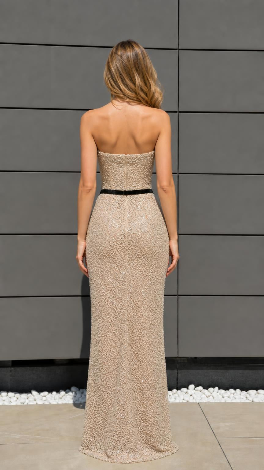 Back view of champagne sequin maxi dress