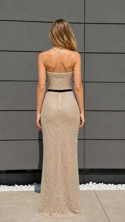 Back view of champagne sequin maxi dress
