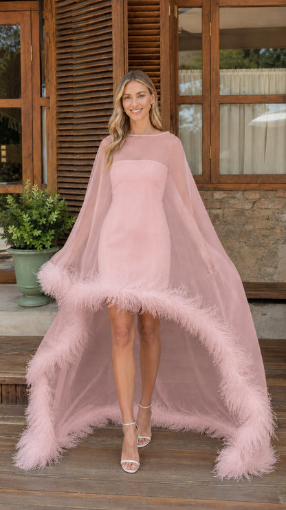 Blush pink sheer tulle cape mini dress with matching feather trim
